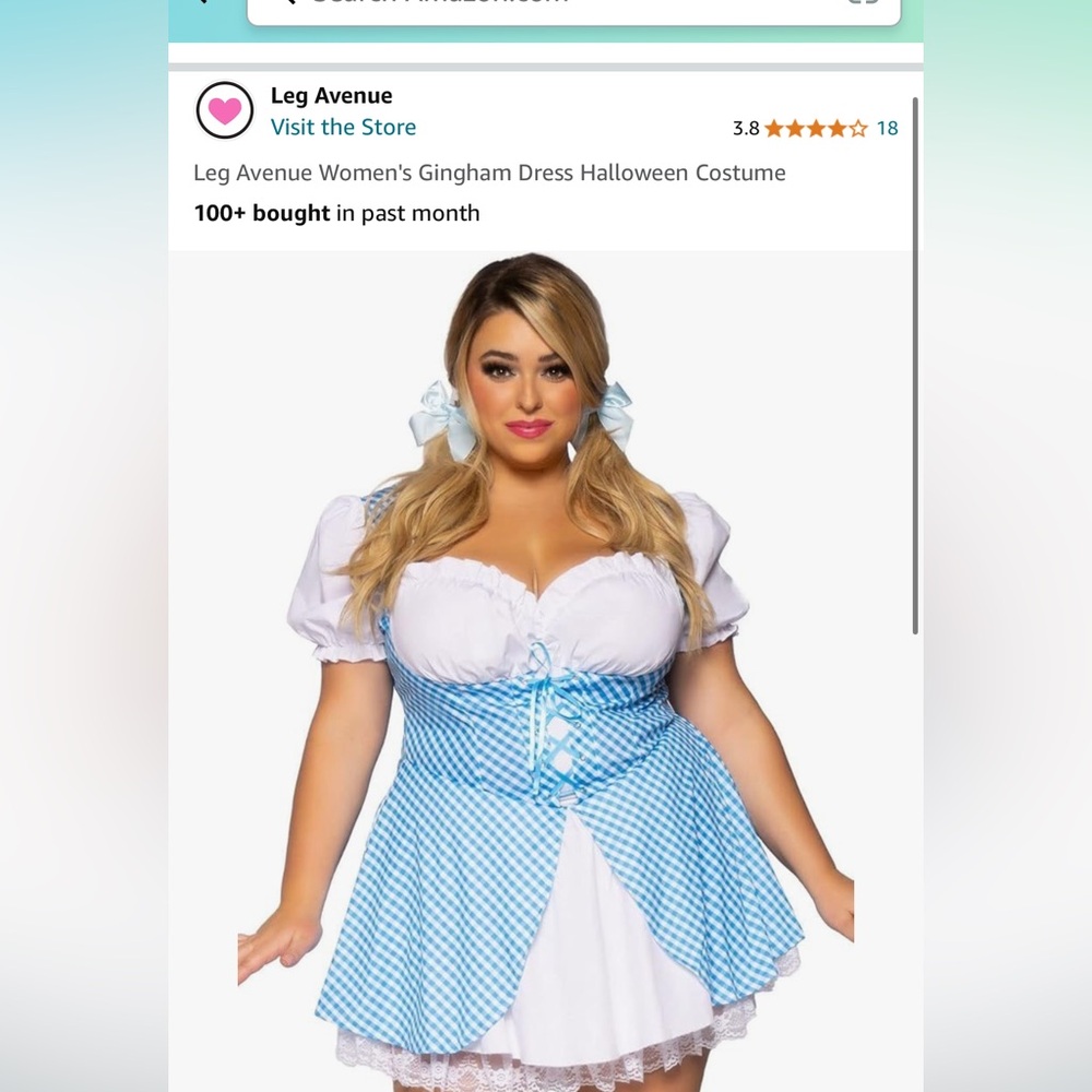 Leg Avenue Dorothy costume! Worn one night and in brand new condition!
